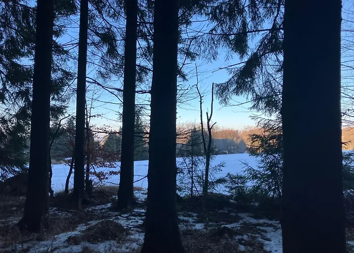 Berghaus Am Katzenstein Urgemuetliches Wohnen Im Wald